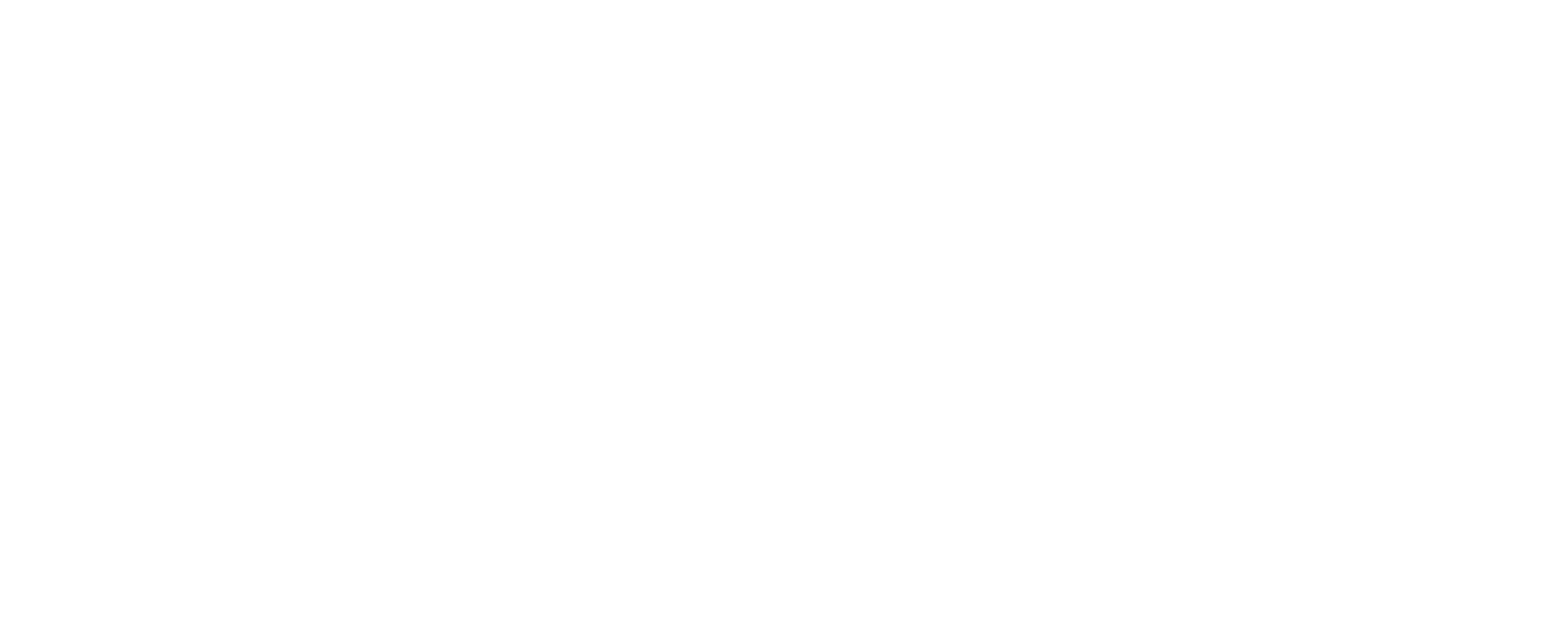 logo stichting IRIS